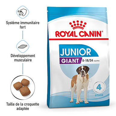 Royal Canin - Giant Junior aliment sec pour chiot