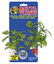 Zoomed - Plante artificielle avec ventouse pour aquarium - Window leaf Indicateur image numéro 1
