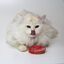 Croci - Jeu BAKERY Donut Rose Catnip pour Chat - 9cm Indicateur image numéro 3