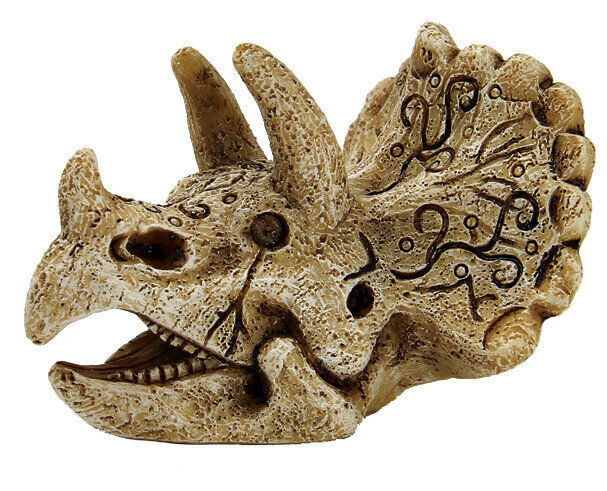 Superfish - D&eacute;coration Skull Triceratops pour Aquarium - S Image num&eacute;ro 1