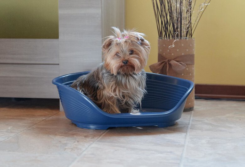 Ferplast - Corbeille Siesta Deluxe 2 Dark Grey pour Chiens Image numéro 8 Ferplast - Corbeille Siesta Deluxe 2 Dark Grey pour Chiens Image numéro 8