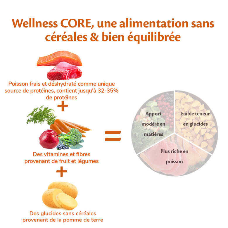 Wellness CORE - Croquettes Océan Saumon et Thon pour Chien - 10Kg Image numéro 4 Wellness CORE - Croquettes Océan Saumon et Thon pour Chien - 10Kg Image numéro 4