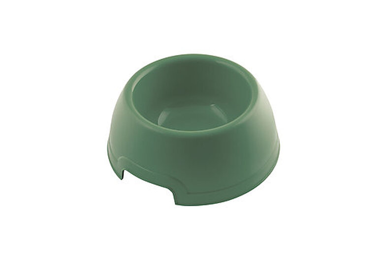 Animalis - Gamelle Lucky Vert pour Chien - 21cm image number null
