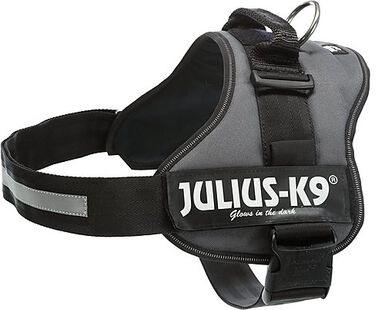 Julius-K9 - Harnais XXL pour Chien - Anthracite