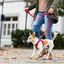 Curli - Laisse Basic en Noir pour Chiens - L Indicateur image numéro 2