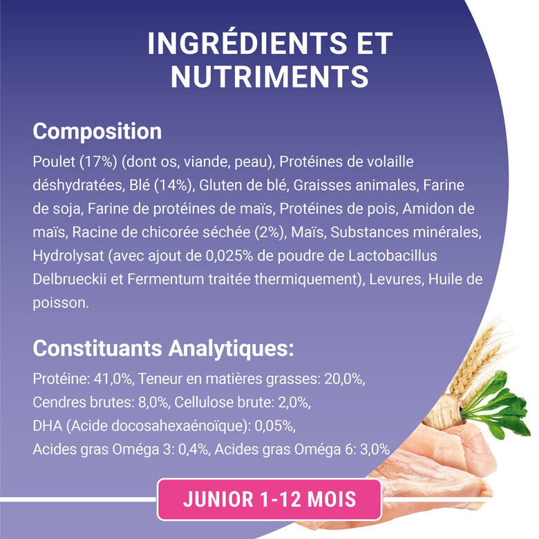 Purina One - Croquettes au Poulet et Céréales pour Chaton - 1,5Kg Image numéro 7 Purina One - Croquettes au Poulet et Céréales pour Chaton - 1,5Kg Image numéro 7