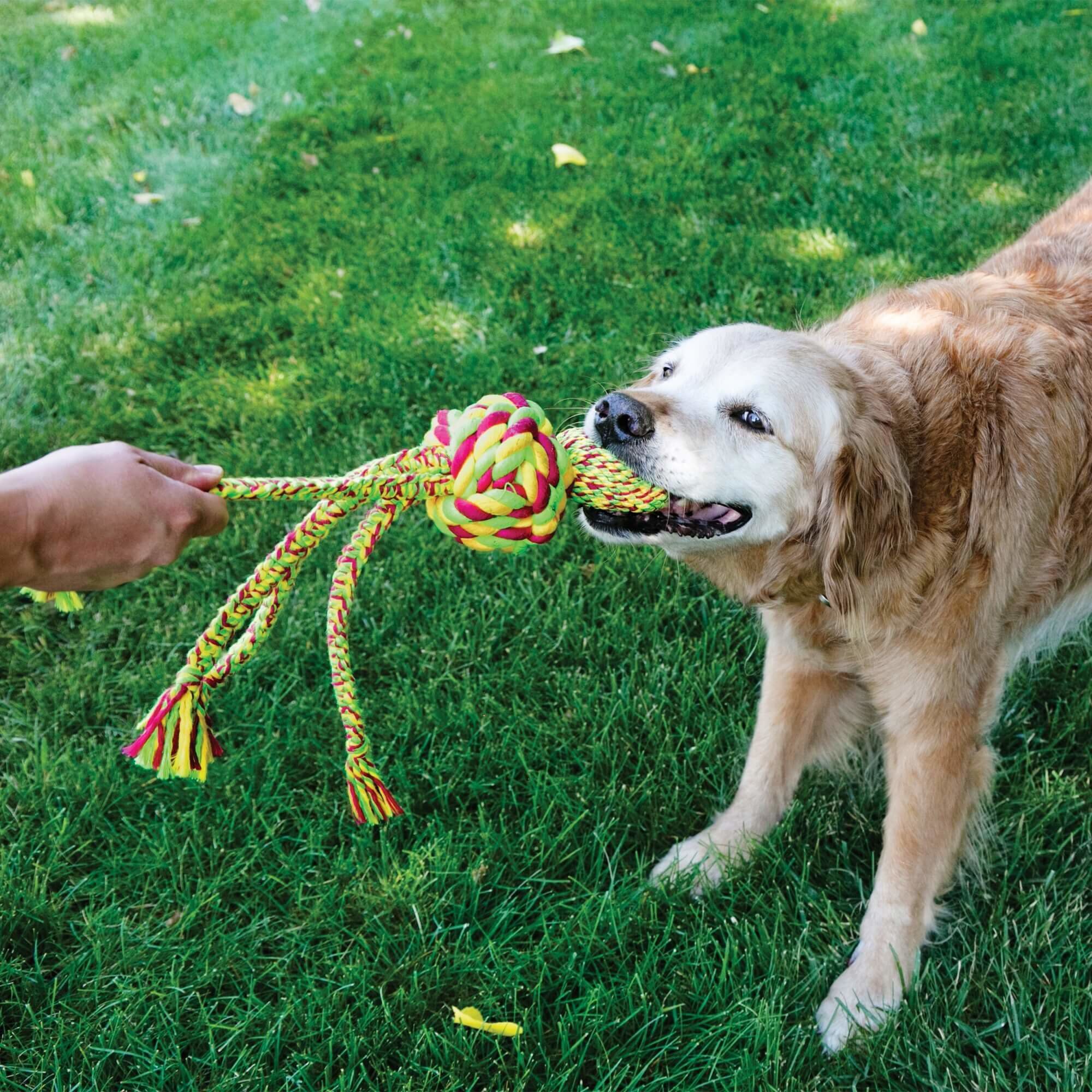 Kong - Jouet Wubba Weaves A Cordes Taill pour Chien - S Image num&eacute;ro 3