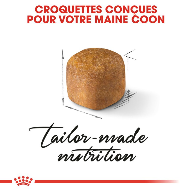Royal Canin - Croquettes Maine Coon pour Chaton - 2Kg Image numéro 5 Royal Canin - Croquettes Maine Coon pour Chaton - 2Kg Image numéro 5