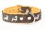 Yogipet - Collier Super Bouledogue Français Cuir pour Chien Marron - T60 41/55cm Indicateur image numéro 2