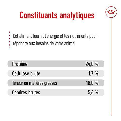 Royal Canin - Croquettes X Small Adult pour Petits Chiens - 3Kg Image num&eacute;ro 5