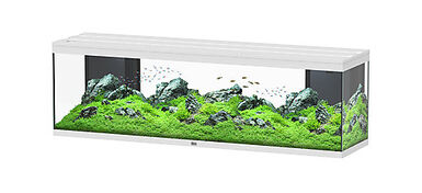 Aquatlantis -Aquarium SPLENDID 200 Led 2.0 Equipé Blanc - 500L
