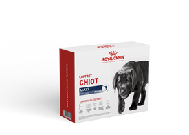 Royal Canin - Coffret Puppy Maxi pour Chiot de Grande Race - 1Kg