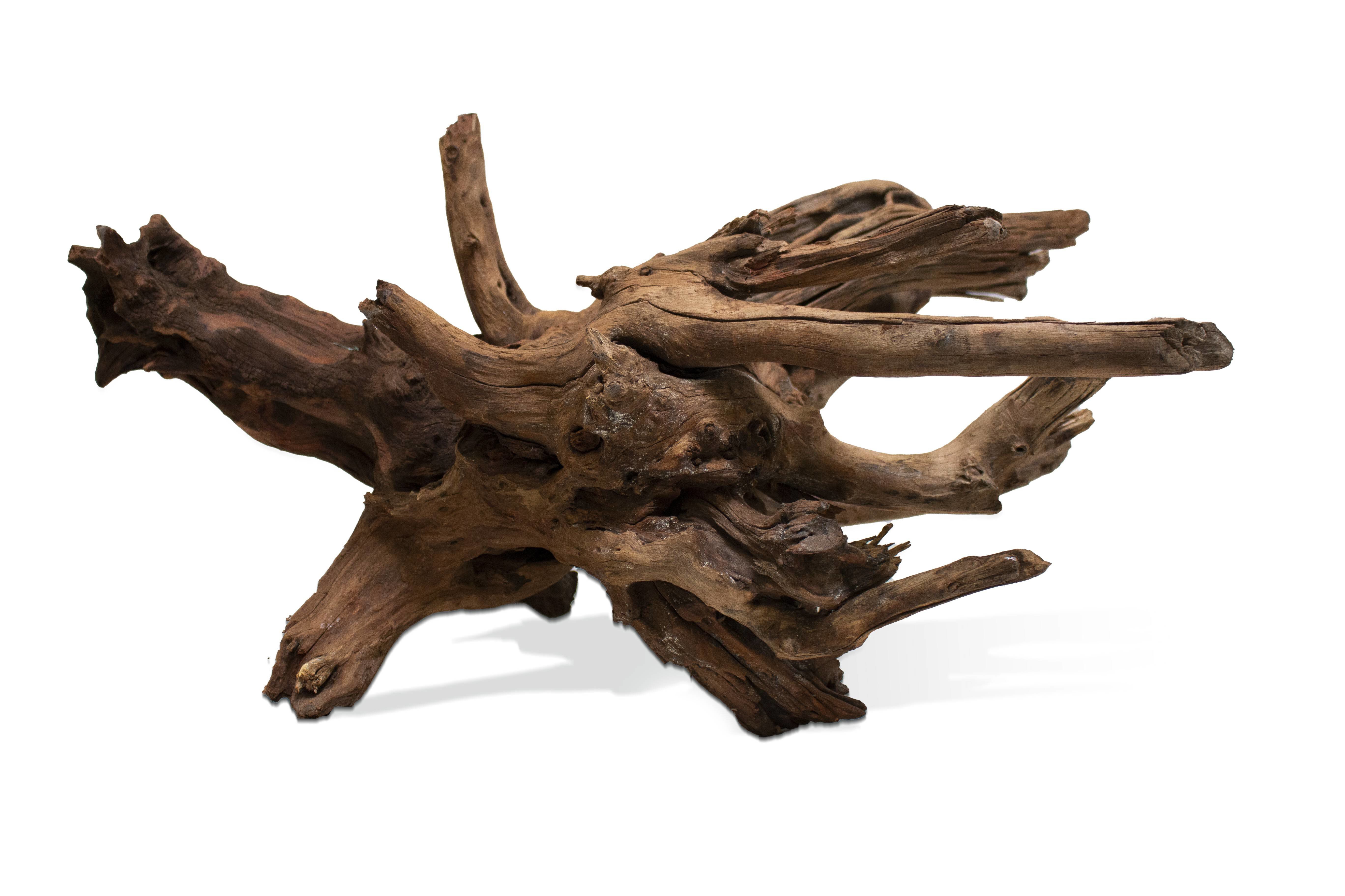 Aquavie - Racine Sinknatur 40/65cm - M Image num&eacute;ro 1