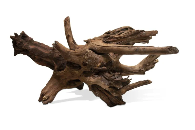 Aquavie - Racine Sinknatur 40/65cm - M Image numéro 1 Aquavie - Racine Sinknatur 40/65cm - M Image numéro 1