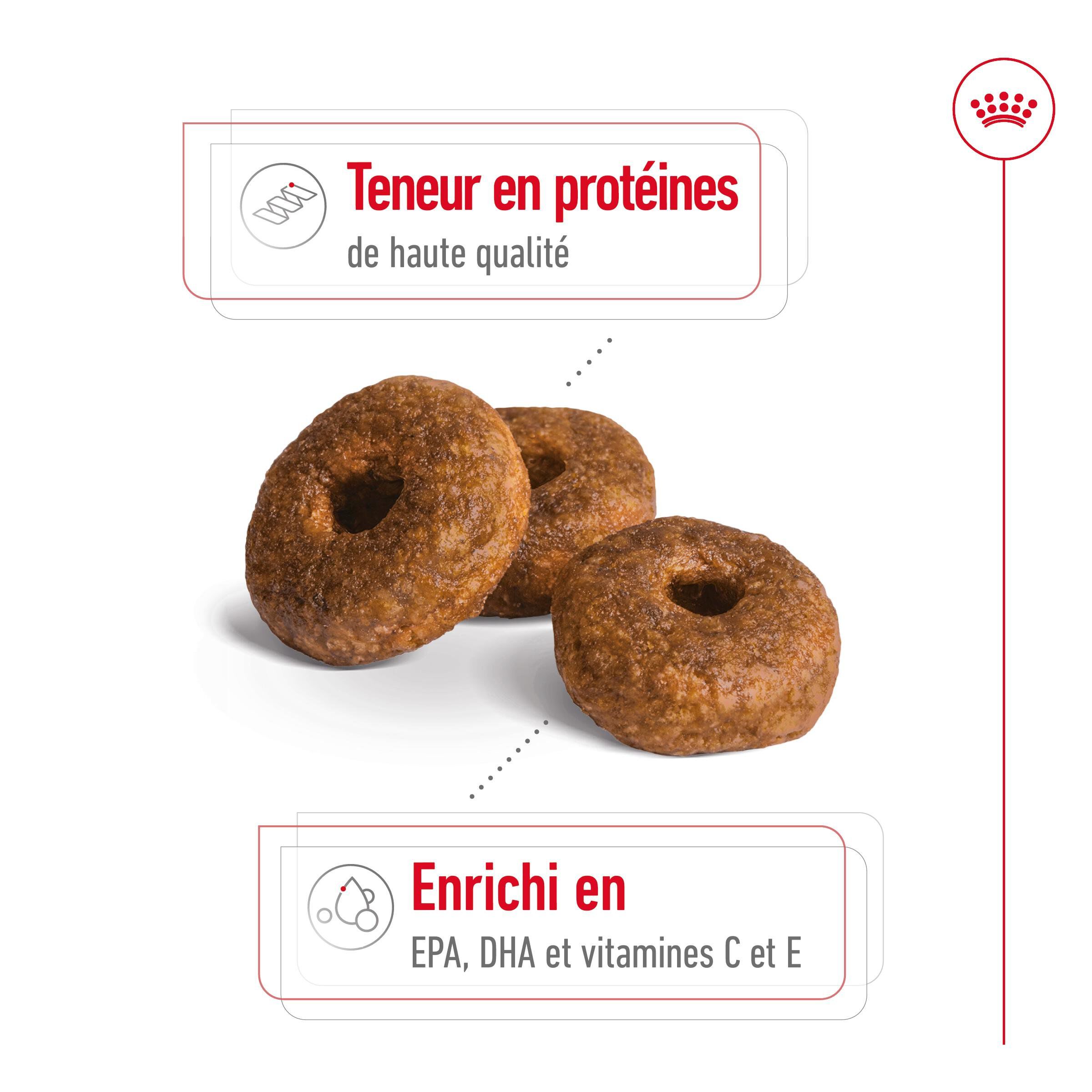 Royal Canin - Croquettes Medium Ageing 10+ pour Chien Senior - 3Kg Image num&eacute;ro 13