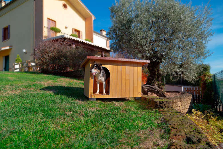 Ferplast - Niche en Bois Baita - 100 Image numéro 6 Ferplast - Niche en Bois Baita - 100 Image numéro 6