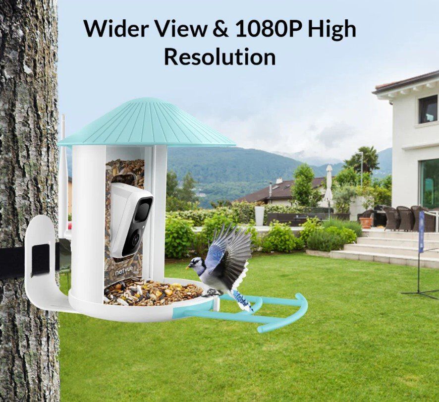 Birdfy -  Mangeoire Intelligente Avec Cam&eacute;ra pour Oiseaux Image num&eacute;ro 4