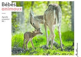 Agenda semainier 2024 - Bébés animaux