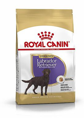 Royal Canin - Croquettes Labrador pour Chien Stérilisé - 12Kg
