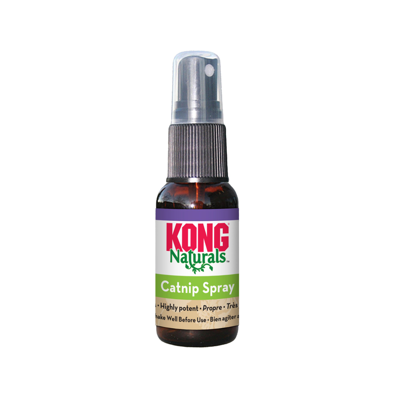 KONG - Spray Naturals Catnip pour Chats Image numéro 2 KONG - Spray Naturals Catnip pour Chats Image numéro 2