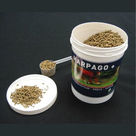 Greenpex - Seau HARPAGO + Soins pour Chevaux - 4,5Kg