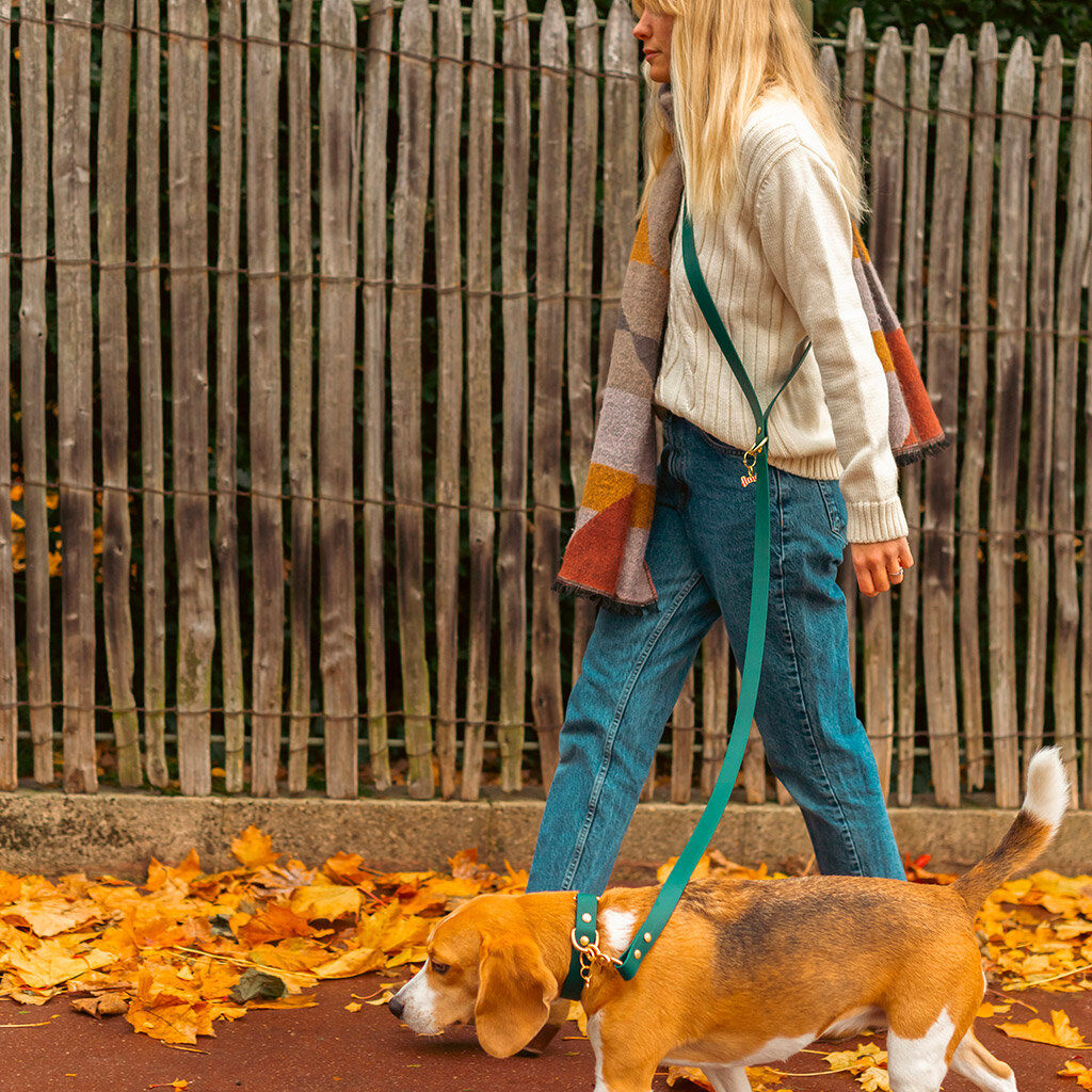 Pop Dog - Laisse Bandouli&egrave;re El&eacute;gant Vert pour Chien - XS/S Image num&eacute;ro 3