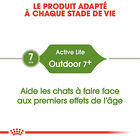 Royal Canin - Croquettes Outdoor7+ pour Chats d'Extérieurs - 4Kg image number null