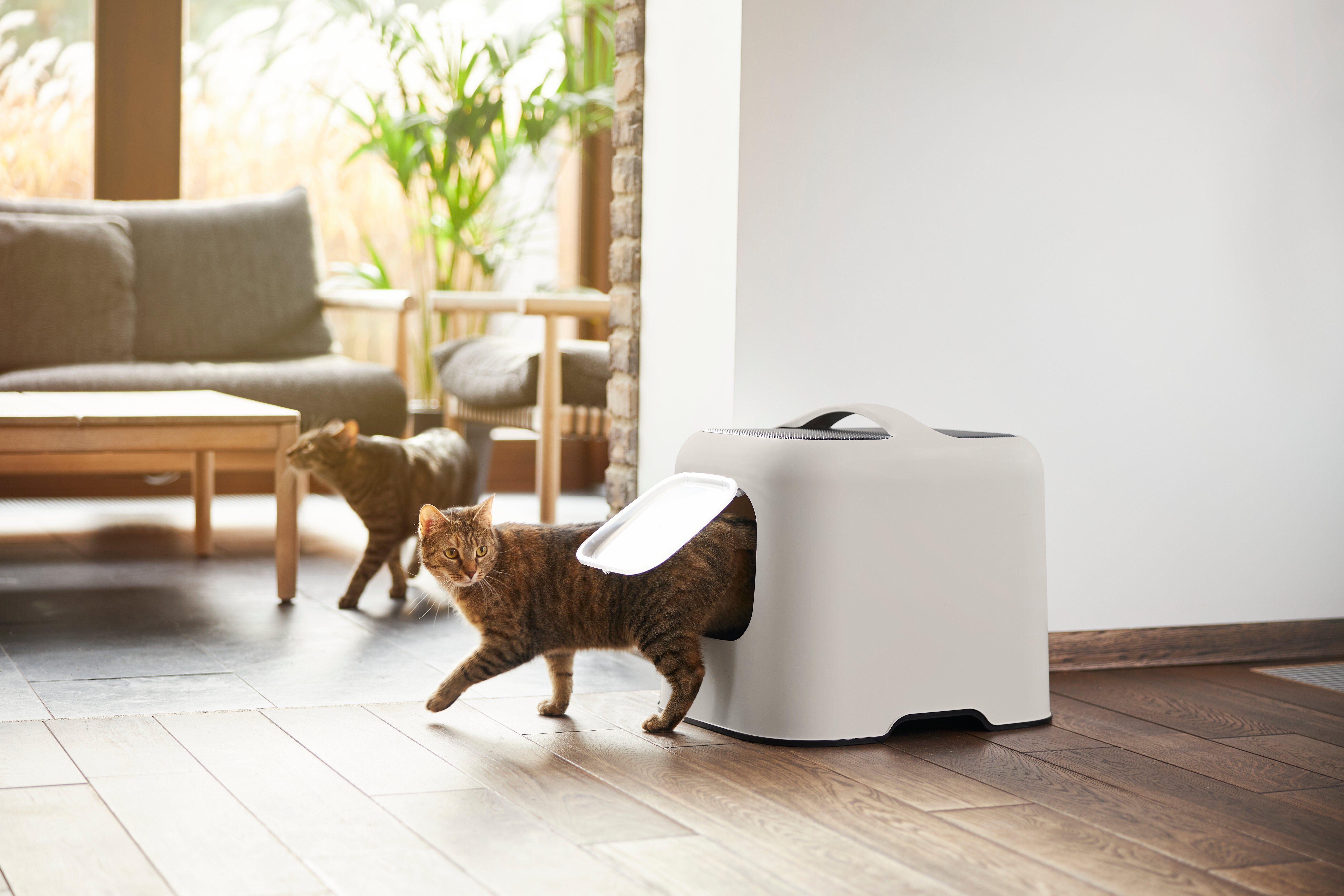 Rotho MyPet - Maison de Toilette Biala pour Chat - Cappuccino Image num&eacute;ro 3