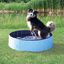 Trixie - Piscine Bleu pour Chien - 80 × 20 cm Indicateur image numéro 2