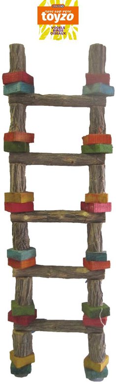 Toyzo - Jouets Perroquet Echelle 5 Echelons Bois - 54cm Image numéro 1 Toyzo - Jouets Perroquet Echelle 5 Echelons Bois - 54cm Image numéro 1