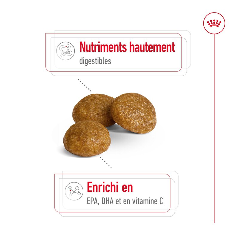 Royal Canin -  Croquettes X SMALL ADULT CHIEN DE TRES PETITE TAILLE - 500G Image numéro 11 Royal Canin -  Croquettes X SMALL ADULT CHIEN DE TRES PETITE TAILLE - 500G Image numéro 11