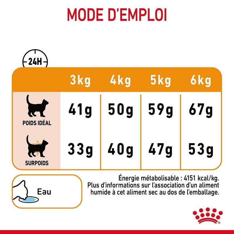 Royal Canin - Croquettes Hair & Skin Care pour Chat - 400g Image num&eacute;ro 4