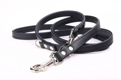 Yogipet - Laisse Ajustable pour Chien Noir