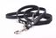 Yogipet - Laisse Ajustable pour Chien Noir - 2/220cm Indicateur image numéro 1