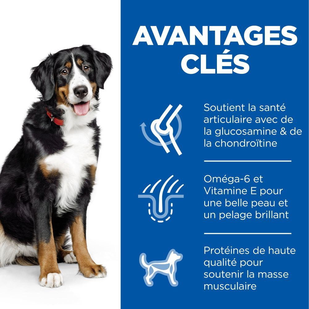 Hill's Science Plan - Adult Croquettes Pour Grand Chien Au Poulet  - 18kg Image num&eacute;ro 3