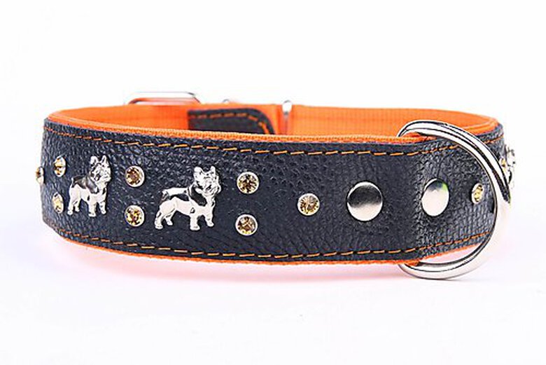 Yogipet - Collier Cuir French Bulldog T45 30/41cm pour Chien - Orange image number null