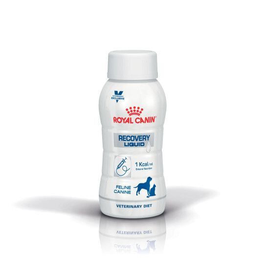 Royal Canin - Lait Veterinary Diet Recovery Liquid Pour Chiens et Chats - 3x200ml Image num&eacute;ro 2