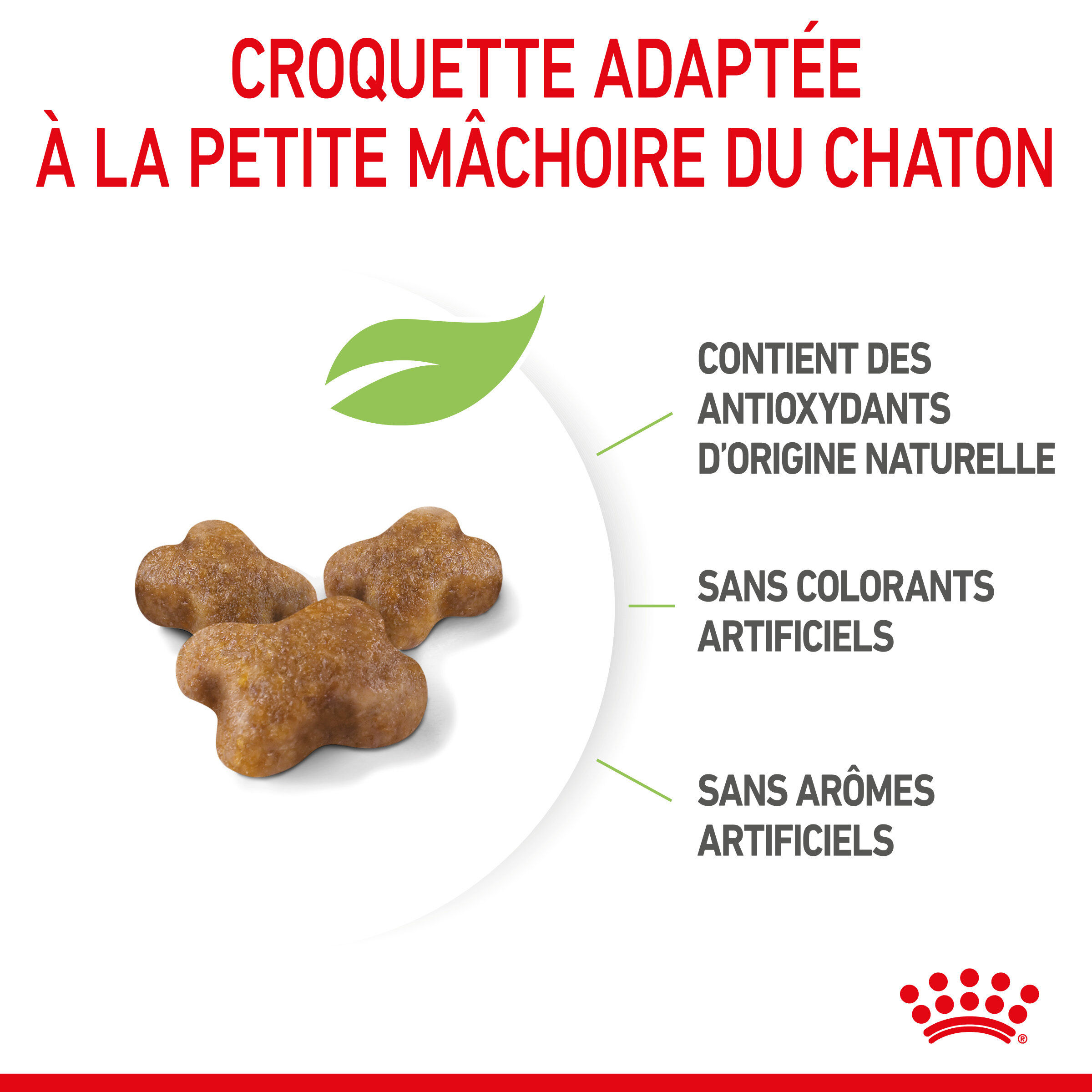Royal Canin - Croquettes Kitten pour Chaton - 400g Image num&eacute;ro 5