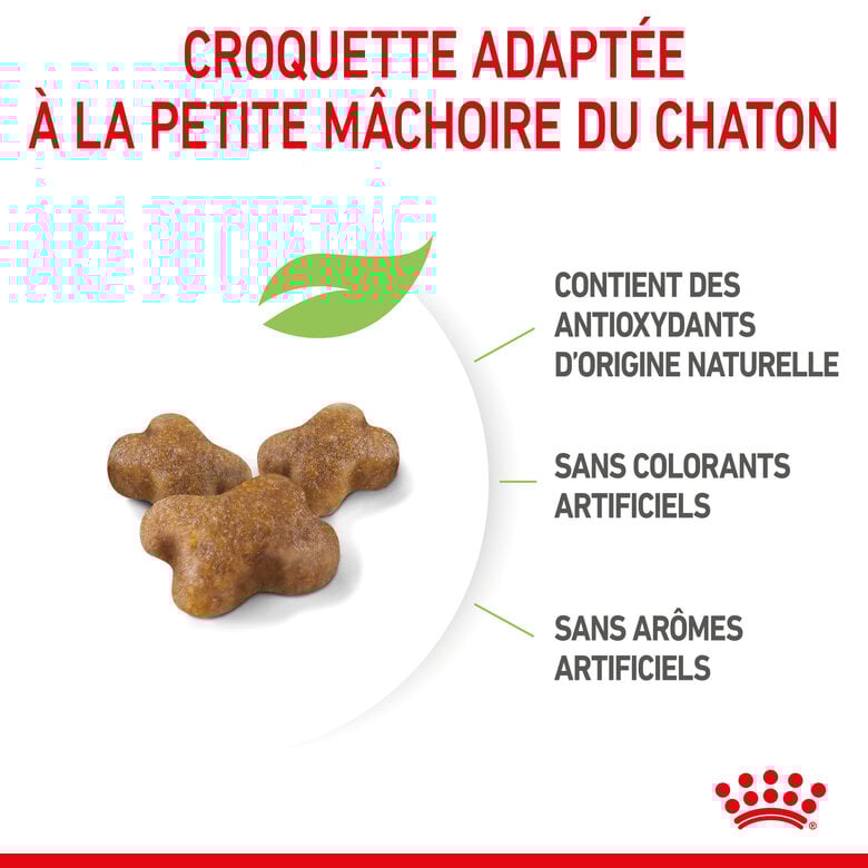 Royal Canin - Croquettes Kitten pour Chaton - 400g Image numéro 5 Royal Canin - Croquettes Kitten pour Chaton - 400g Image numéro 5