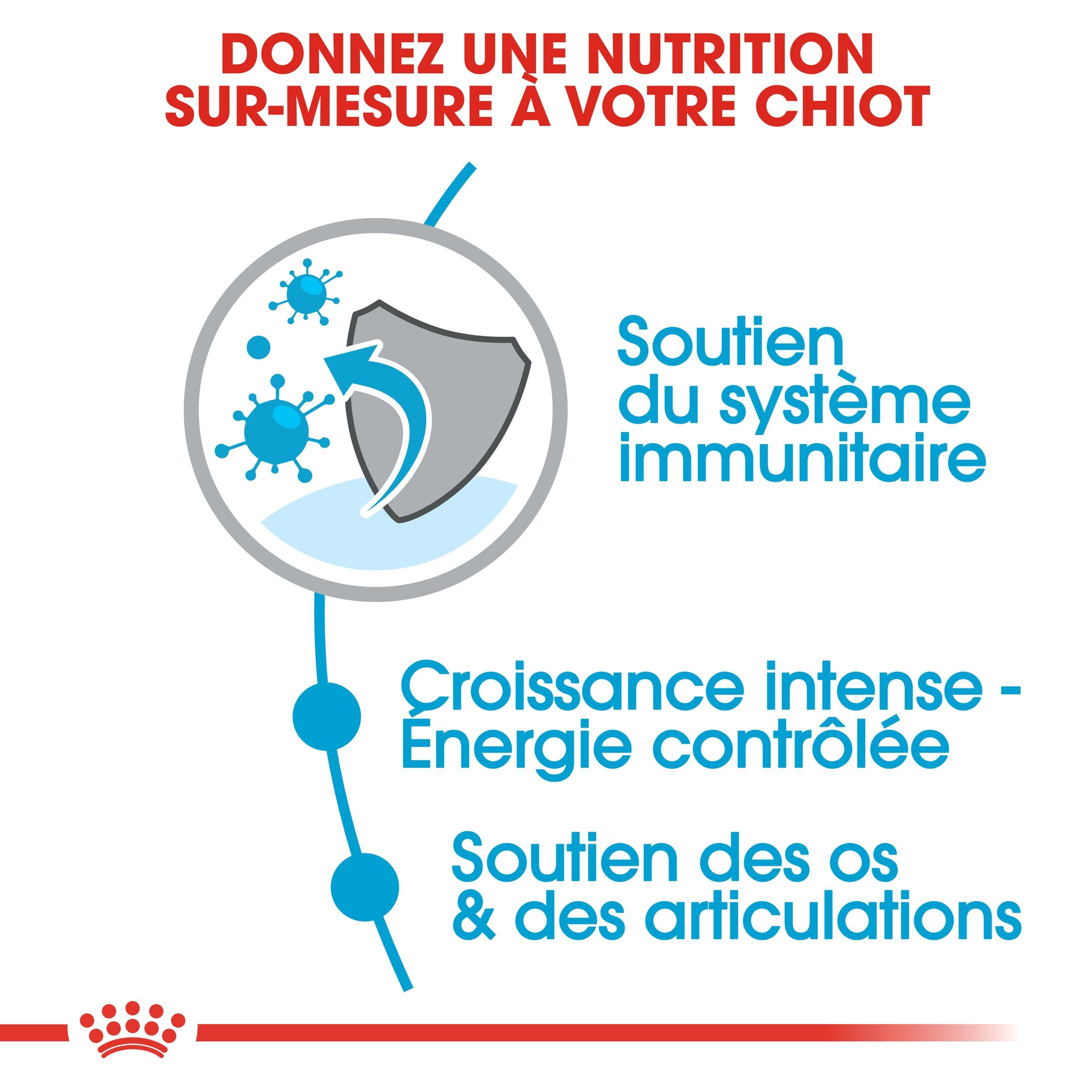 Royal Canin - Croquettes Giant Puppy pour Chiot - 15Kg Image num&eacute;ro 4