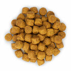 Hill's Science Plan - Croquettes à l'Agneau et Riz pour Chien - 12Kg image number null