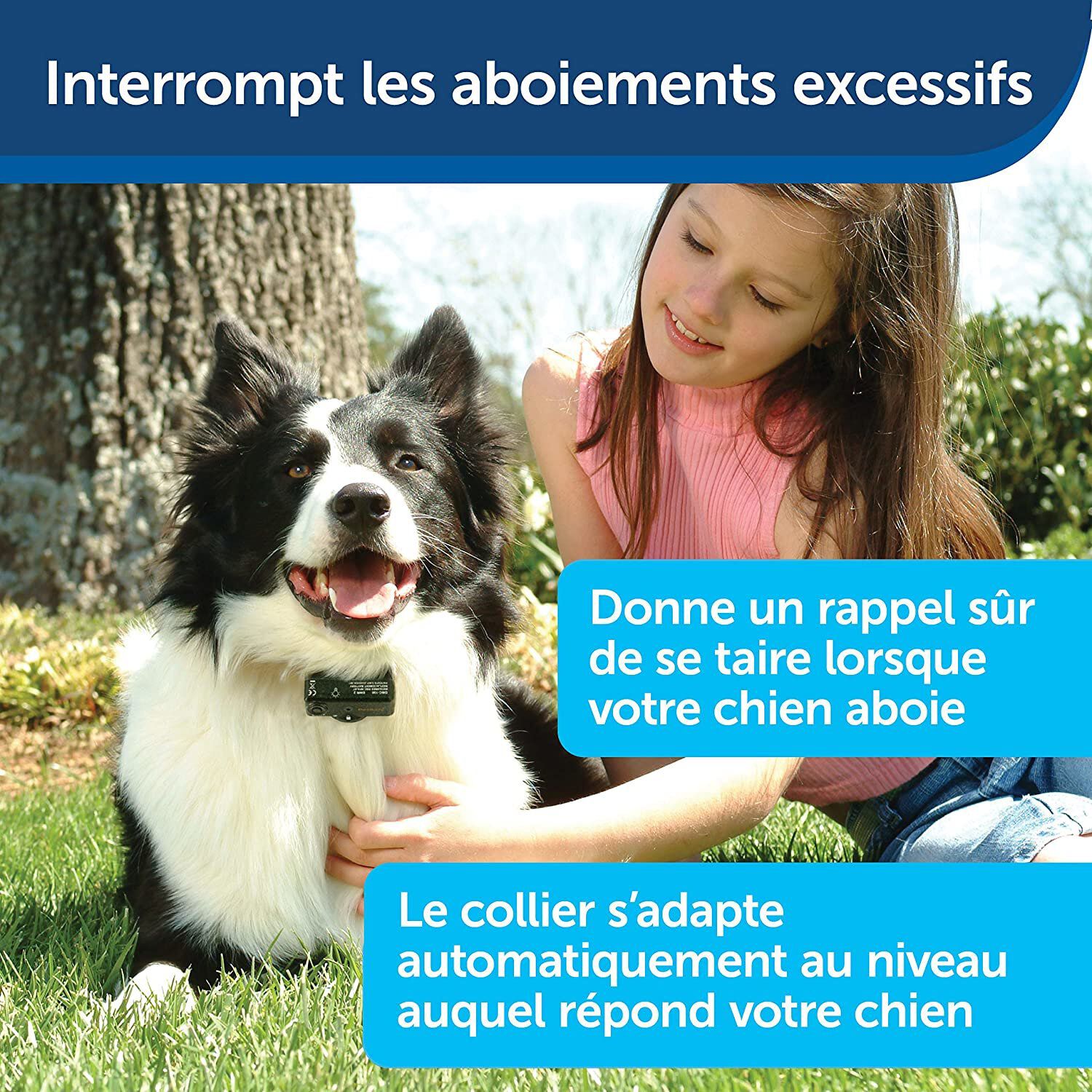PetSafe - Collier Anti-Aboiement Moyens et Grands Chiens Image num&eacute;ro 4