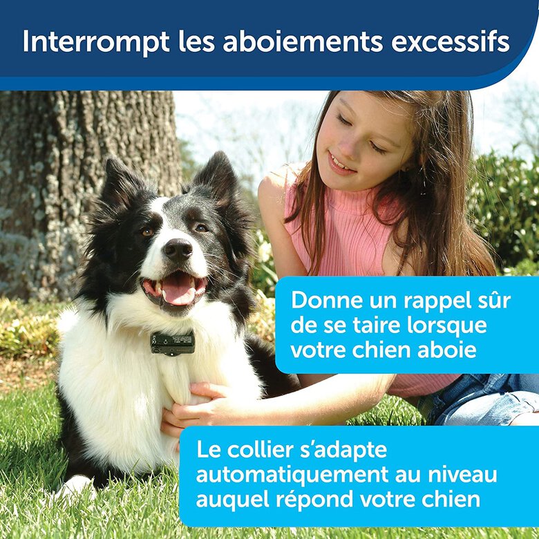 PetSafe - Collier Anti-Aboiement Moyens et Grands Chiens Image numéro 4 PetSafe - Collier Anti-Aboiement Moyens et Grands Chiens Image numéro 4
