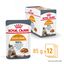 Royal Canin - Sachets Hair&Skin Sauce pour Chat - 12x85g Indicateur image numéro 2
