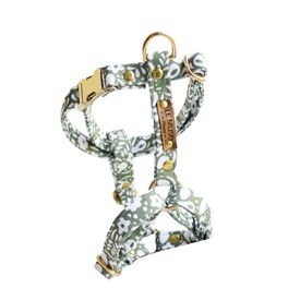 Le Muso - Harnais Oscar Vert pour Chiens Le Muso - Harnais Oscar Vert pour Chiens