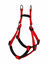Animalis - Harnais Basic Confort Rouge pour Chien - T1 15mm et 45/57cm Indicateur image numéro 2