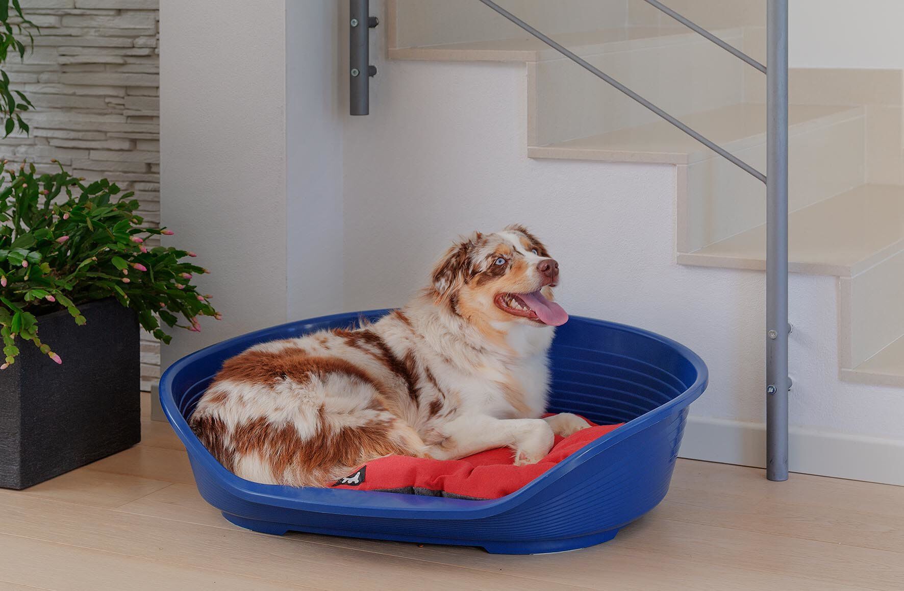 Ferplast - Corbeille Siesta Deluxe 8 Bordeaux pour Chiens Image num&eacute;ro 9