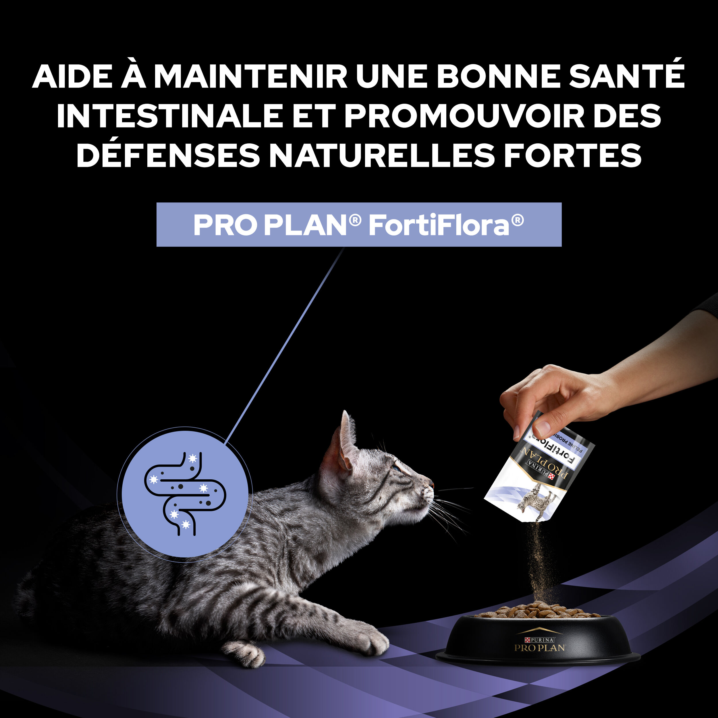 Pro Plan - Sachets FortiFlora Feline Probiotic pour Chats - x30 Image num&eacute;ro 7