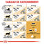 Royal Canin - Croquettes Ragdoll Adult pour Chat - 2Kg Indicateur image numéro 6