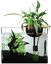 CocoPlant - Filtration Naturelle Coco30 pour Aquarium Indicateur image numéro 1